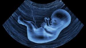 Ультразвукове дослідження УЗД при вагітності в Черкасах