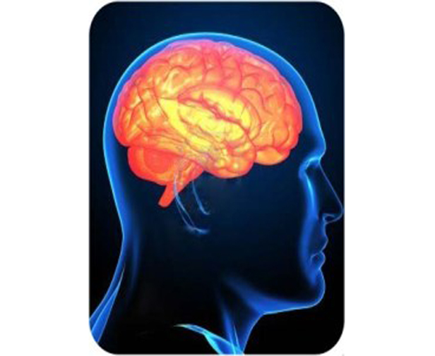  Комп'ютерна томографія головного мозку Черкаси